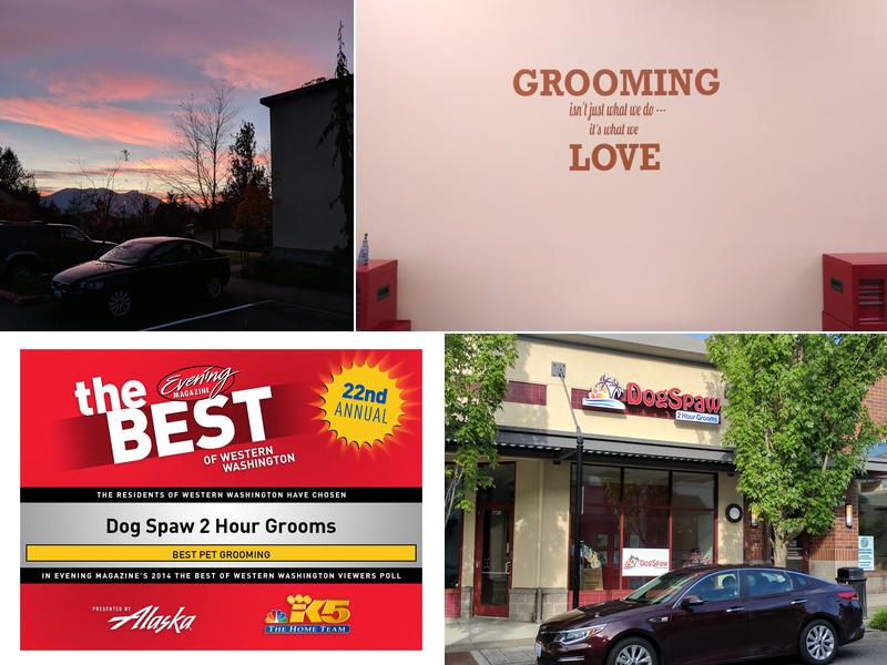 Dog Spaw | Snoqualmie Ridge