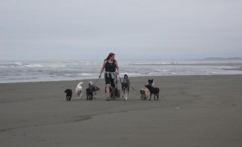 Karen's Critters - Grooming & Training