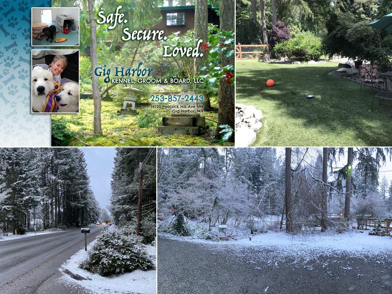 Gig Harbor Kennel Groom & Board