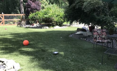 Gig Harbor Kennel Groom & Board