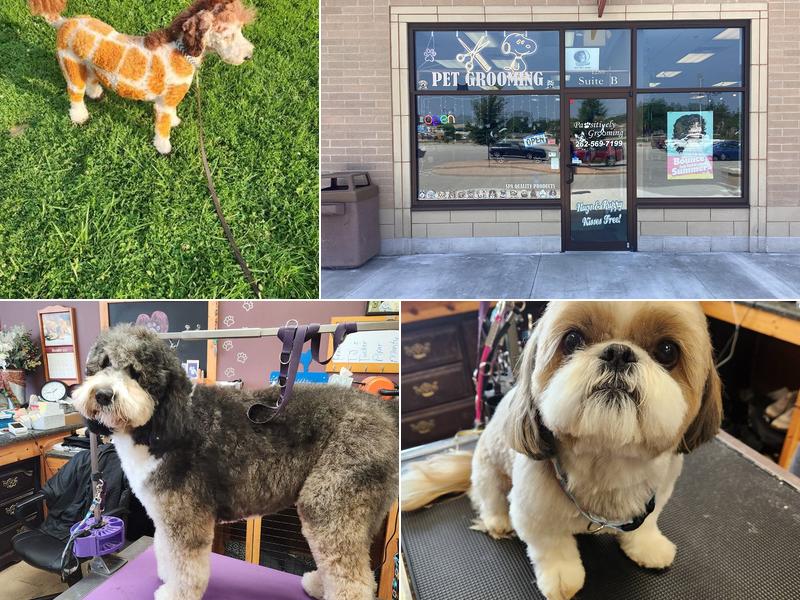 Pawsitively Grooming