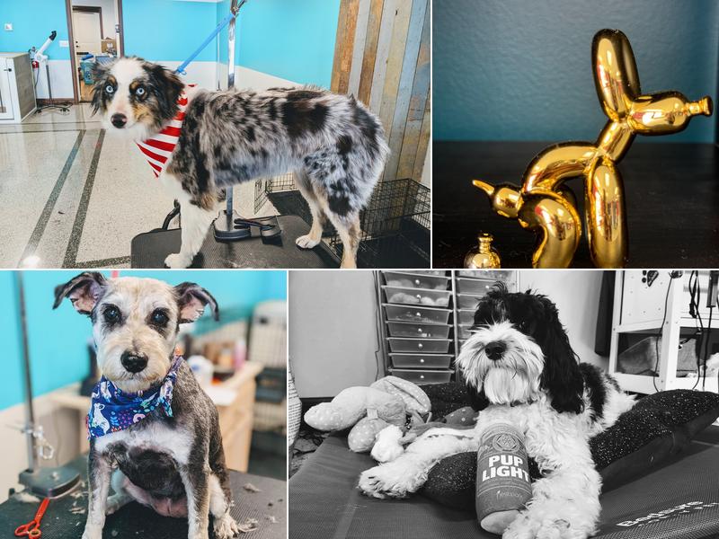 Soapy Paws On Main LLC