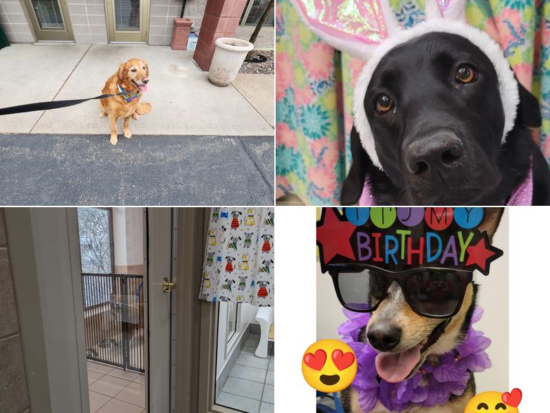 Red Woof Pet Resort LLC