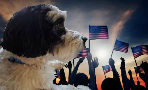 Luxemburg Pet Grooming LLC (Paula Simonar) 713 Main St, Luxemburg Wisconsin 54217