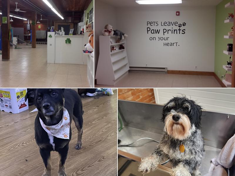 FURever Friends Pet Bathing and Grooming