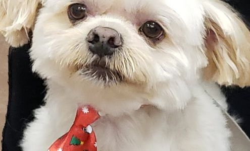 Green River Paw Spa 76 N 1st E St, Green River Wyoming 82935