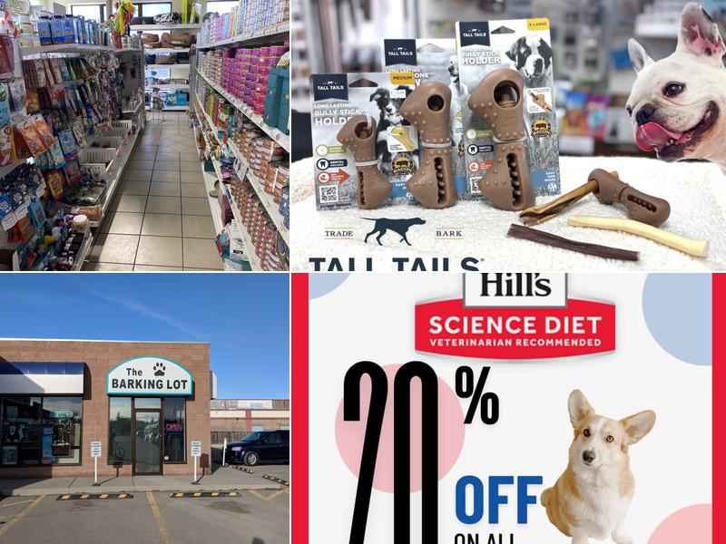 Rascals - The Barking Lot