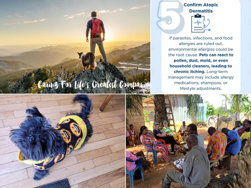 VCA Canada Shawnessy South Animal Hospital