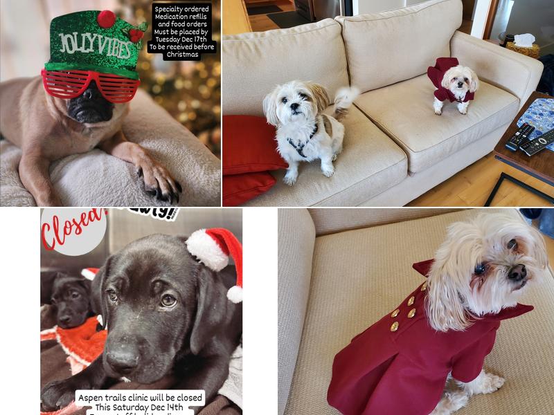 Aspen Trails Veterinary Clinic