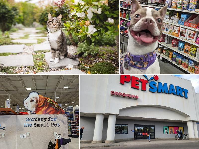 PetSmart