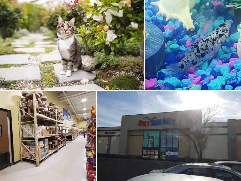 PetSmart