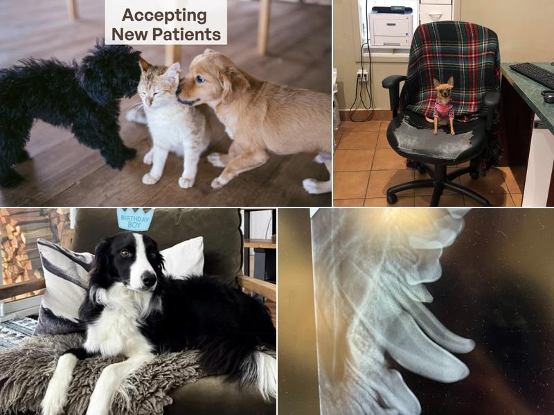 Bow River Veterinary Centre