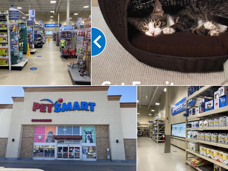 PetSmart