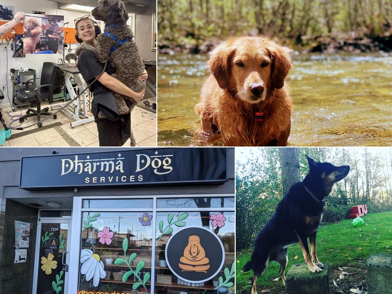 Dharma Dog Services
