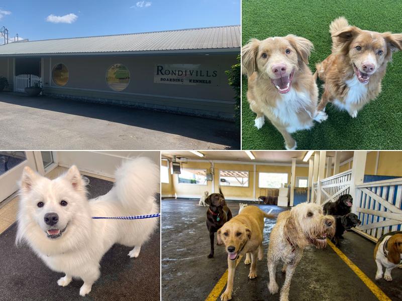 Rondivills Boarding Kennels