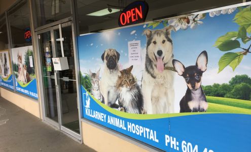 Killarney Animal Hospital
