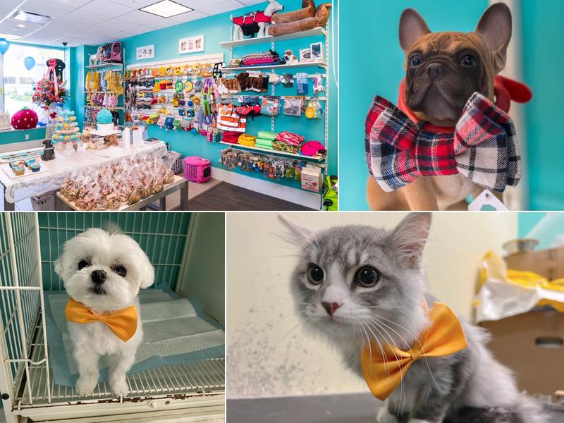 One de Fur pets spa and boutique Burnaby