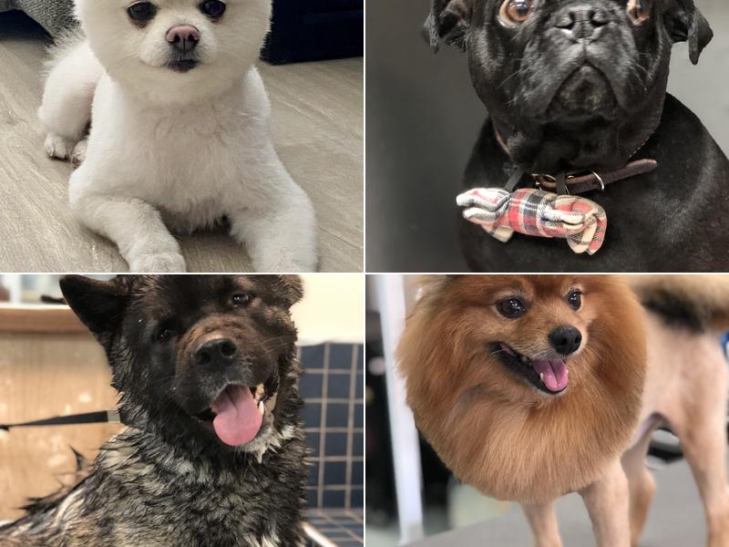 The Barker Barber Inc