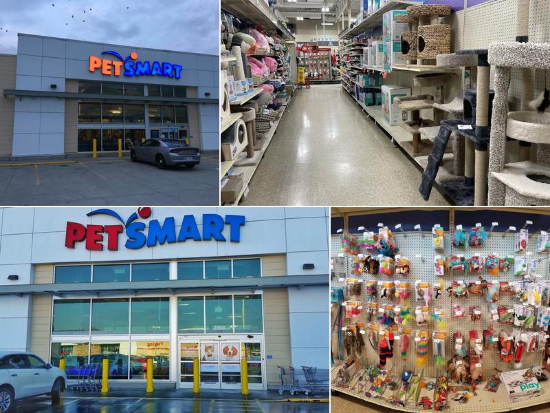 PetSmart