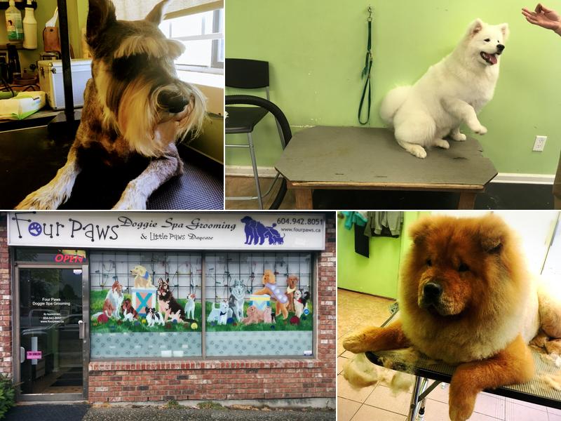 Four Paws Doggie Spa Grooming