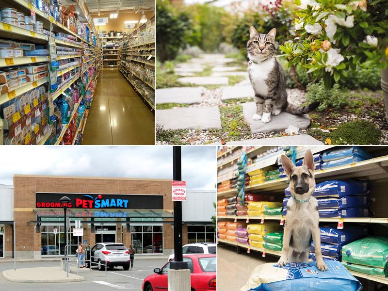 PetSmart