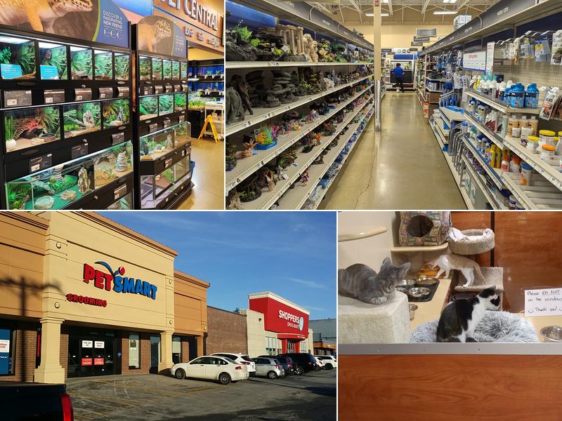PetSmart