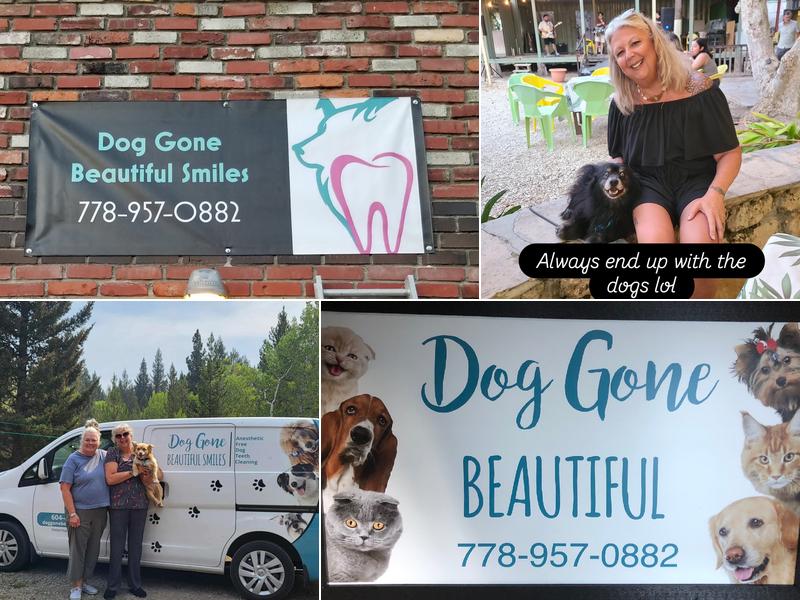 Dog gone beautiful Smiles