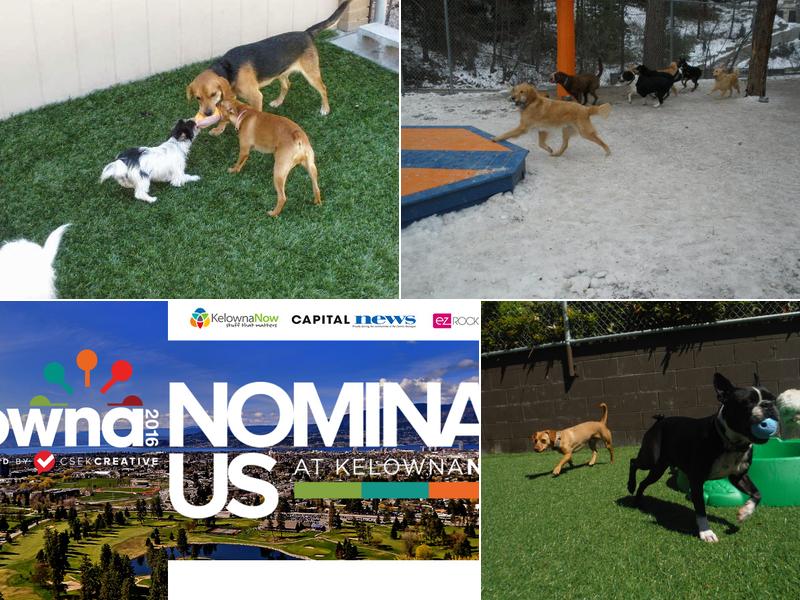 Woofy World Kennels & Daycare