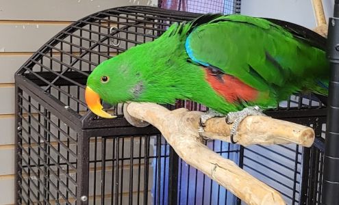 Friendly Pets 10032 99 Ave #1, Fort St John British Columbia V1J 1V3