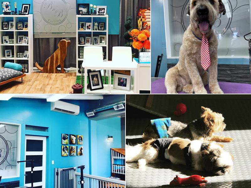 Barks n Bubbles Pet Spa Inc