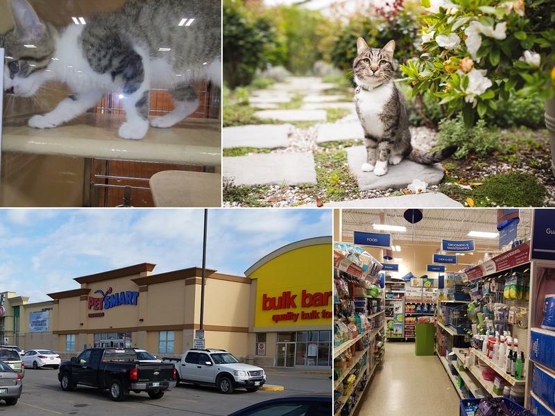PetSmart