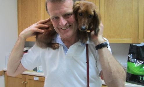 Main Street Veterinary Hospital Inc