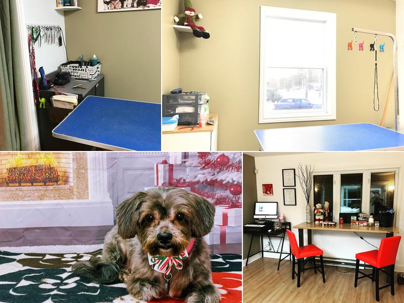 Your Groomers :T Js Pet Grooming