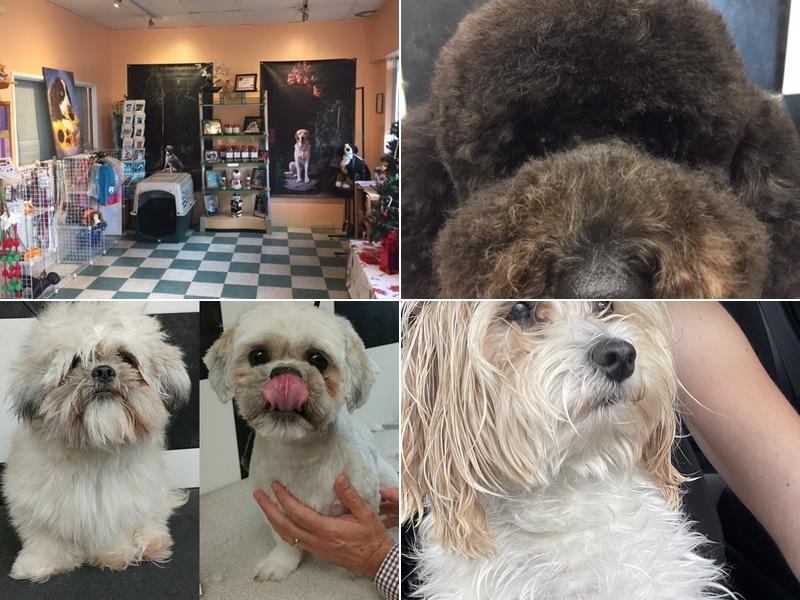 A Pooch Parlour Pet Groomers