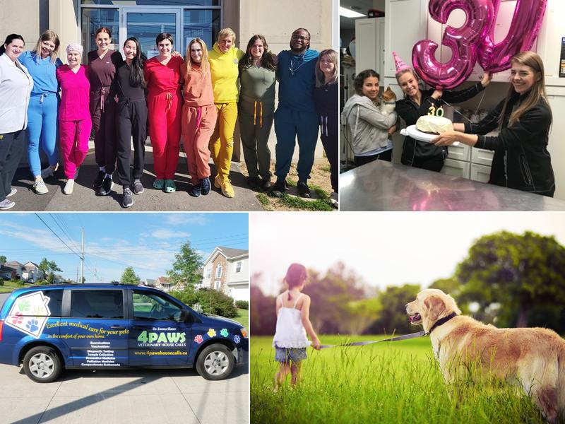 4 Paws Veterinary Hospital