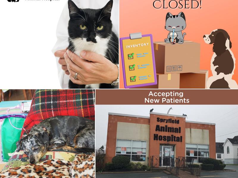 Spryfield Animal Hospital