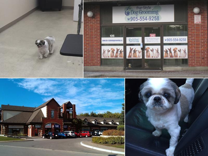 Fur-Style Dog Grooming