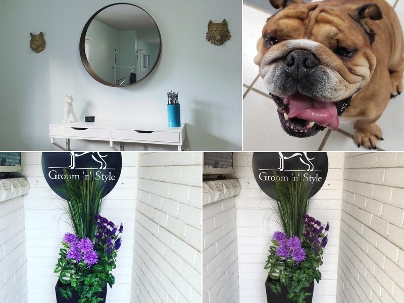 Groom 'n' Style
