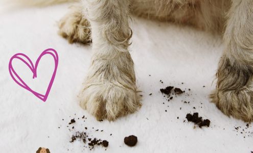 Muddy Paws Pet Food, supplies & Grooming Salon