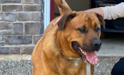 Waterloo West Animal Hospital Professional Corporation