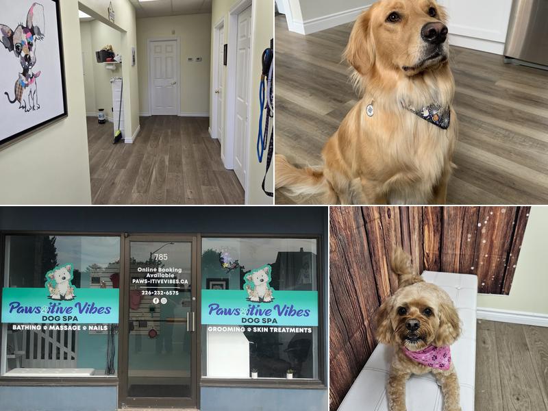 Paws-itive Vibes Dog Spa