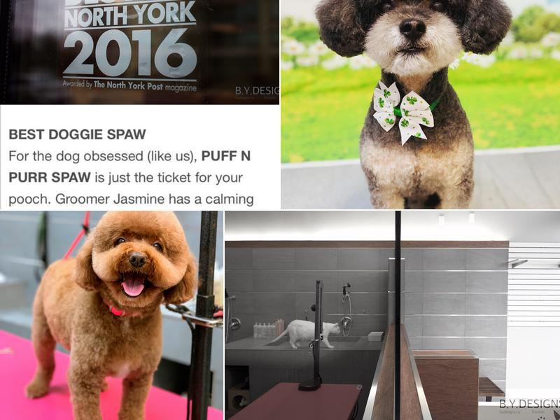 PuFF N PuRR Spaw & Bowtique