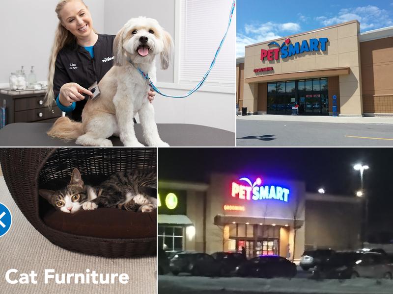 PetSmart
