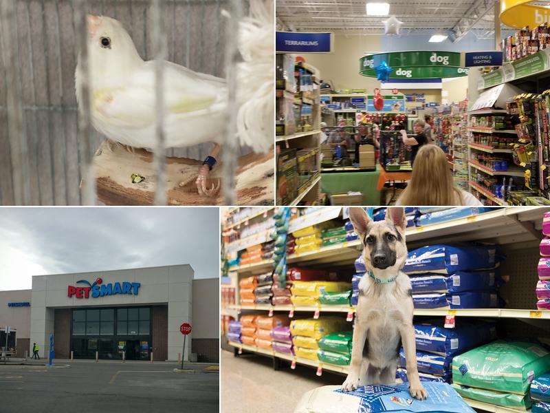 PetSmart