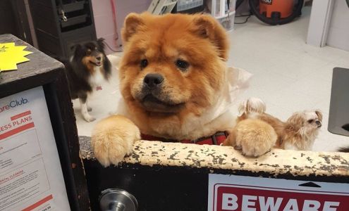 Groomer's Touch
