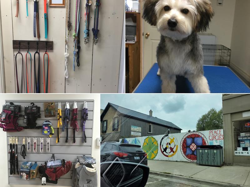 Bath & Biscuit Dog Grooming and Pet Supplies