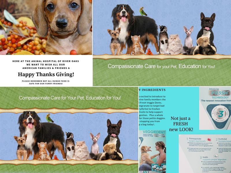 Animal Hospital Of River Oaks