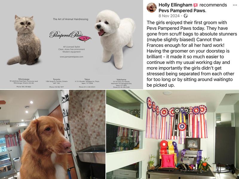 Pampered Paws Limited