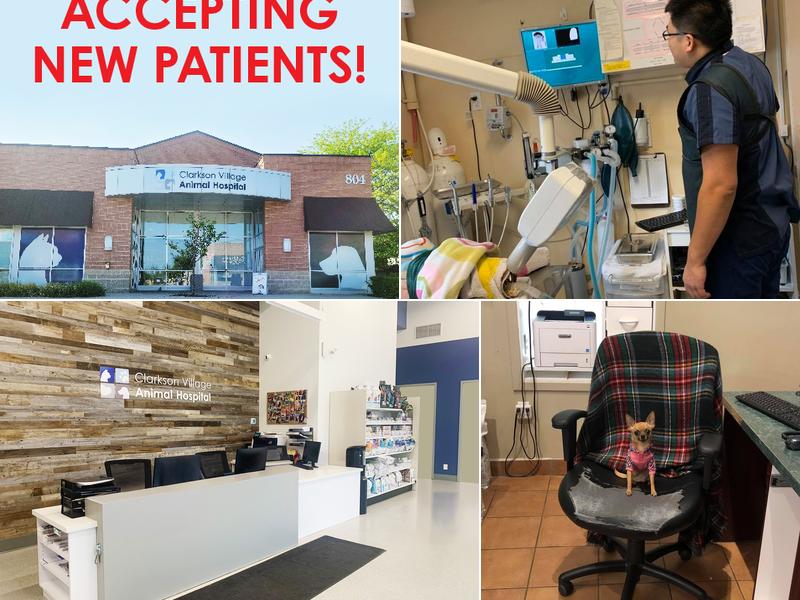 Clarkson Village Animal Hospital