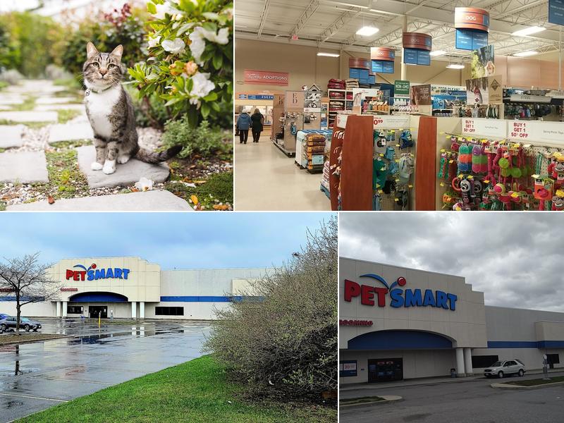 PetSmart